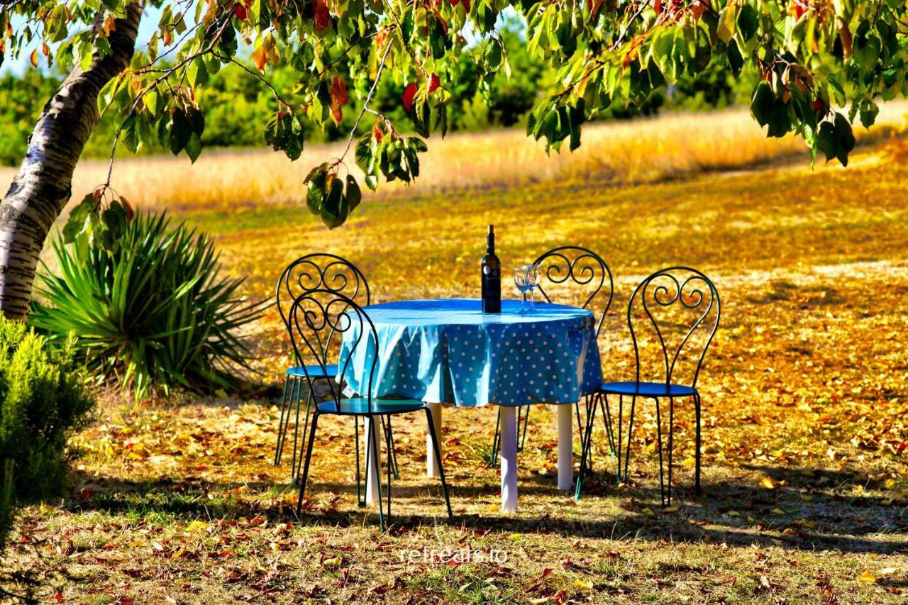 La Colle En Provence Main House Villa Sigonce Eksteriør bilde